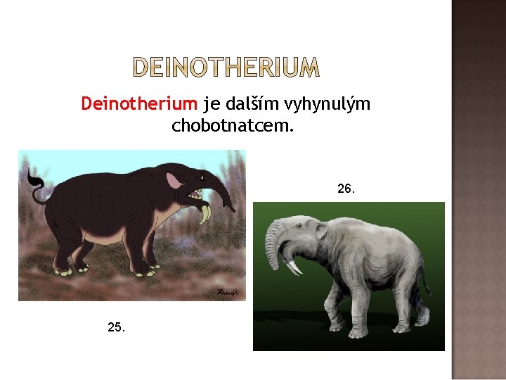 Deinotherium je dalším vyhynulým chobotnatcem. 26. 25. 