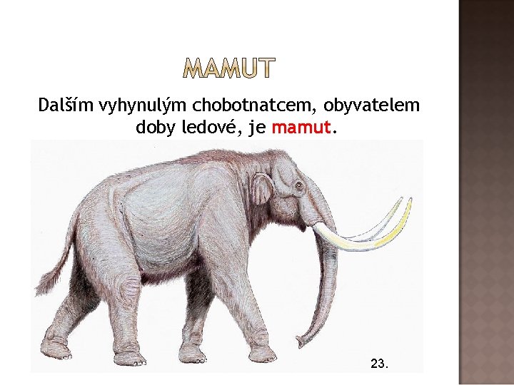 Dalším vyhynulým chobotnatcem, obyvatelem doby ledové, je mamut. 23. 