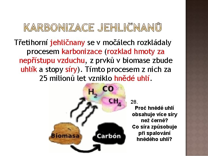 Třetihorní jehličnany se v močálech rozkládaly procesem karbonizace (rozklad hmoty za nepřístupu vzduchu, z Třetihorní jehličnany se v močálech rozkládaly procesem karbonizace (rozklad hmoty za nepřístupu vzduchu, z