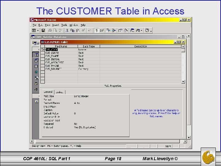 The CUSTOMER Table in Access COP 4610 L: SQL Part 1 Page 18 Mark