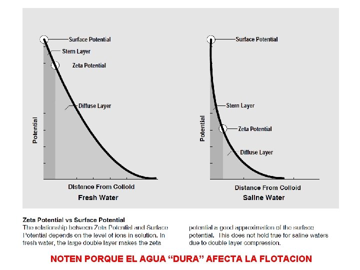 NOTEN PORQUE EL AGUA “DURA” AFECTA LA FLOTACION NOTEN PORQUE EL AGUA “DURA” AFECTA LA FLOTACION