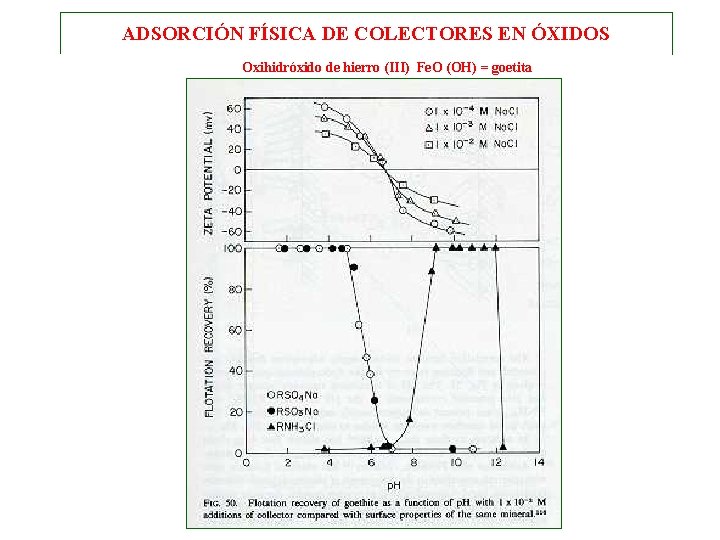 ADSORCIÓN FÍSICA DE COLECTORES EN ÓXIDOS Oxihidróxido de hierro (III) Fe. O (OH) = ADSORCIÓN FÍSICA DE COLECTORES EN ÓXIDOS Oxihidróxido de hierro (III) Fe. O (OH) =