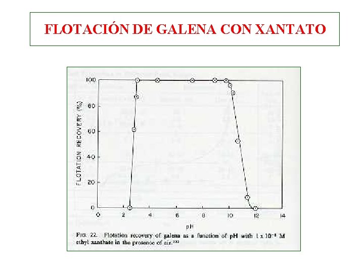 FLOTACIÓN DE GALENA CON XANTATO FLOTACIÓN DE GALENA CON XANTATO