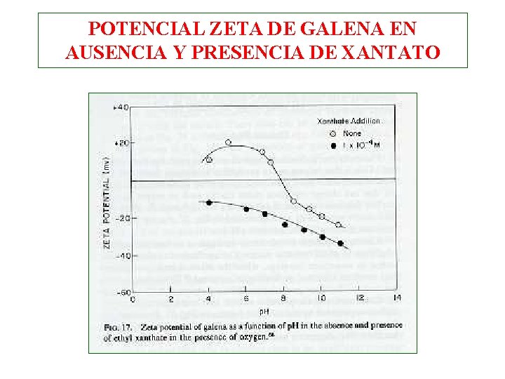 POTENCIAL ZETA DE GALENA EN AUSENCIA Y PRESENCIA DE XANTATO POTENCIAL ZETA DE GALENA EN AUSENCIA Y PRESENCIA DE XANTATO