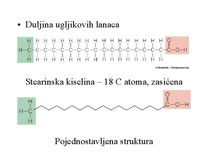  • Duljina ugljikovih lanaca Stearinska kiselina – 18 C atoma, zasićena Pojednostavljena struktura