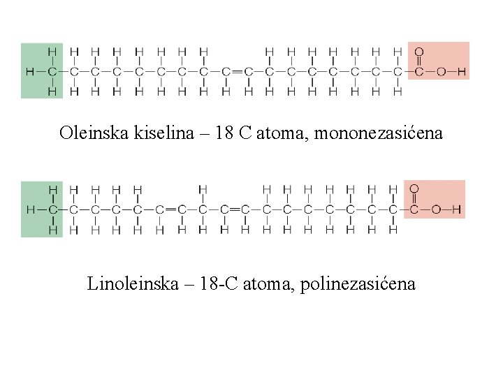 Oleinska kiselina – 18 C atoma, mononezasićena Linoleinska – 18 -C atoma, polinezasićena 