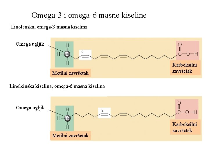 Omega-3 i omega-6 masne kiseline Linolenska, omega-3 masna kiselina Omega ugljik Metilni završetak Karboksilni