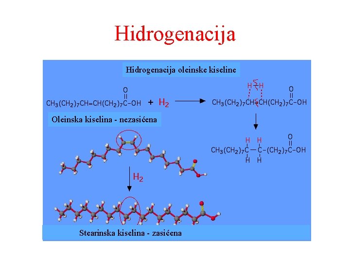 Hidrogenacija oleinske kiseline Oleinska kiselina - nezasićena Stearinska kiselina - zasićena 