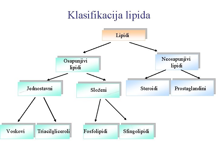 Klasifikacija lipida Lipidi Neosapunjivi lipidi Osapunjivi lipidi Jednostavni Voskovi Triacilgliceroli Složeni Fosfolipidi Steroidi Sfingolipidi