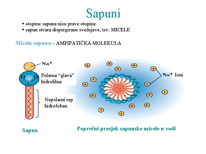 Sapuni § otopine sapuna nisu prave otopine § sapun stvara dispergirane svežnjeve, tzv. MICELE