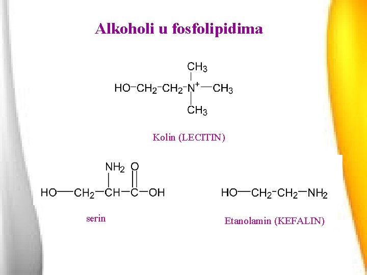 Alkoholi u fosfolipidima Kolin (LECITIN) serin Etanolamin (KEFALIN) 