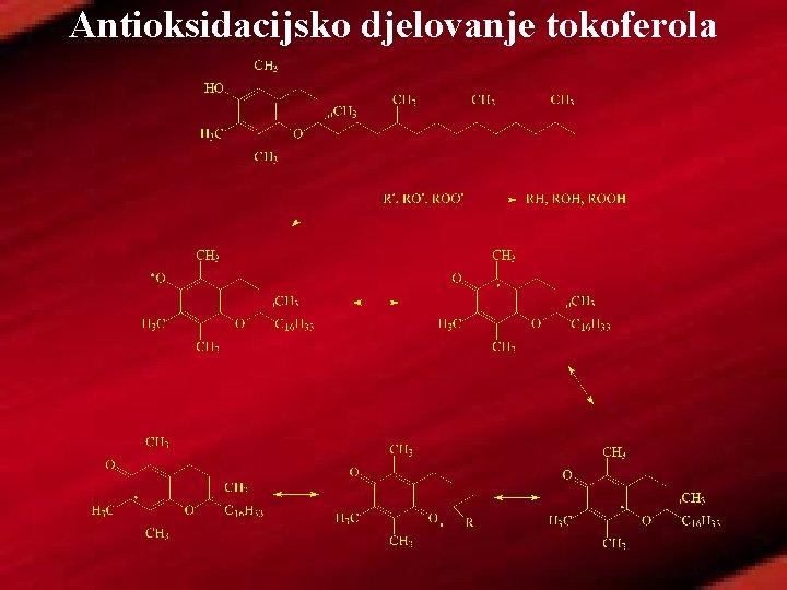 Antioksidacijsko djelovanje tokoferola 