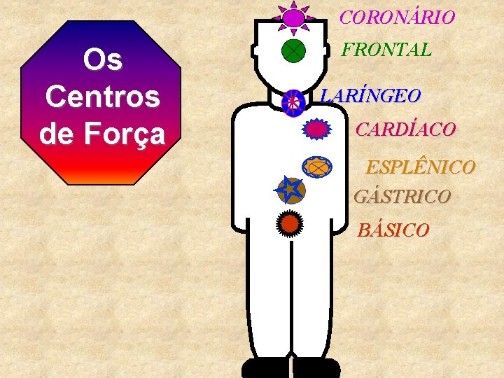 CORONÁRIO Os Centros de Força FRONTAL LARÍNGEO CARDÍACO ESPLÊNICO GÁSTRICO BÁSICO 