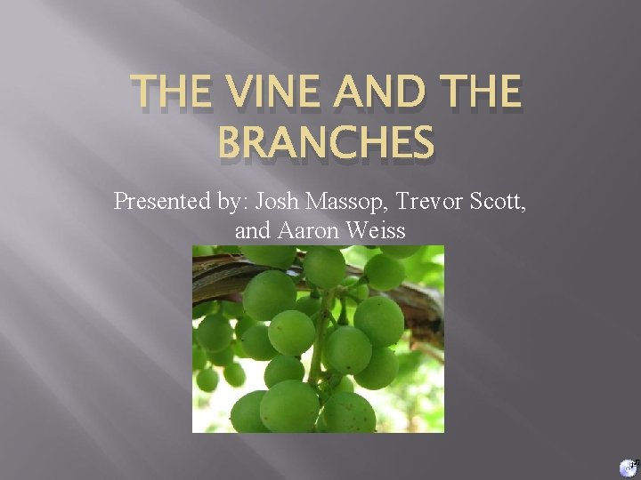 THE VINE AND THE BRANCHES Presented by: Josh Massop, Trevor Scott, and Aaron Weiss