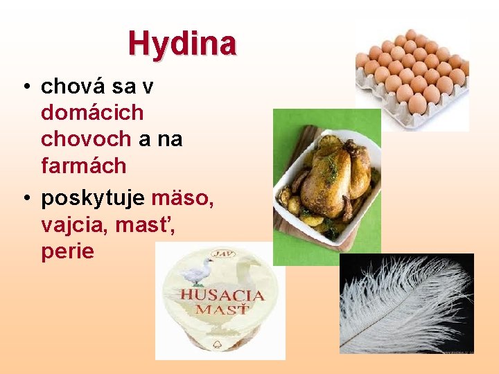 Hydina • chová sa v domácich chovoch a na farmách • poskytuje mäso, vajcia,