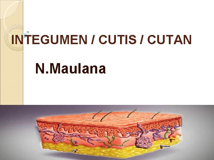 INTEGUMEN / CUTIS / CUTAN N. Maulana 