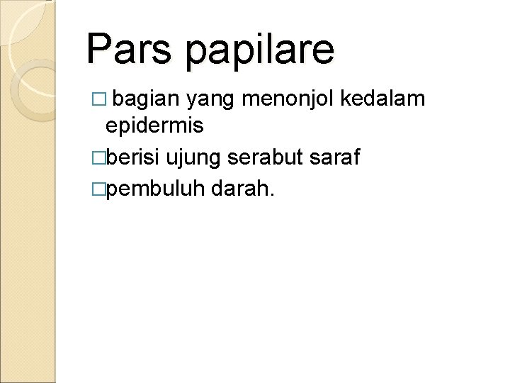 Pars papilare � bagian yang menonjol kedalam epidermis �berisi ujung serabut saraf �pembuluh darah.
