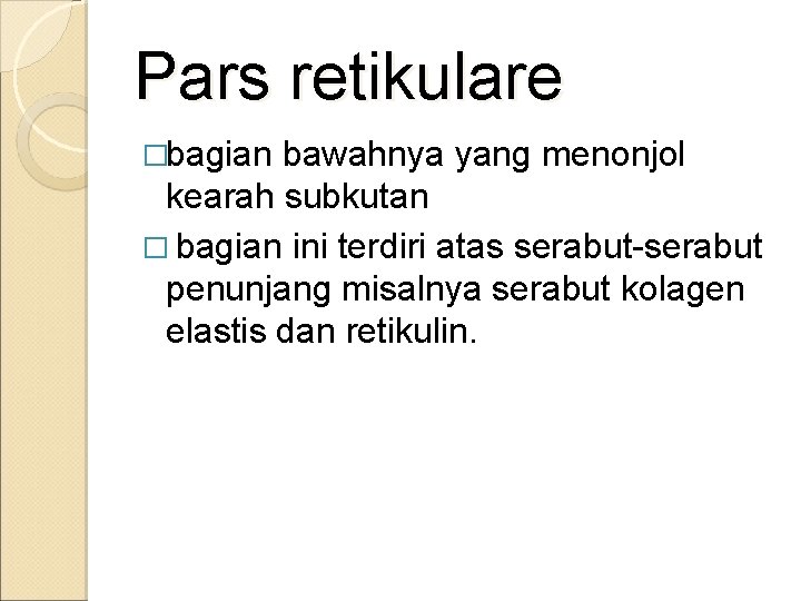 Pars retikulare �bagian bawahnya yang menonjol kearah subkutan � bagian ini terdiri atas serabut-serabut