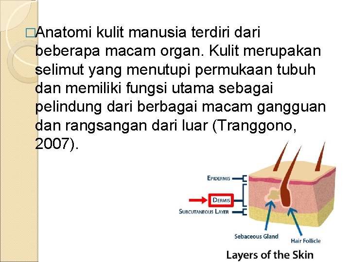 �Anatomi kulit manusia terdiri dari beberapa macam organ. Kulit merupakan selimut yang menutupi permukaan