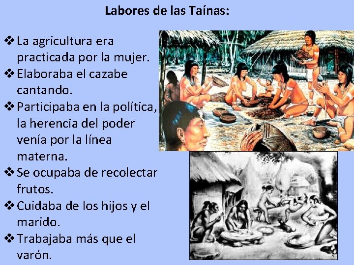 Labores de las Taínas: v La agricultura era practicada por la mujer. v Elaboraba