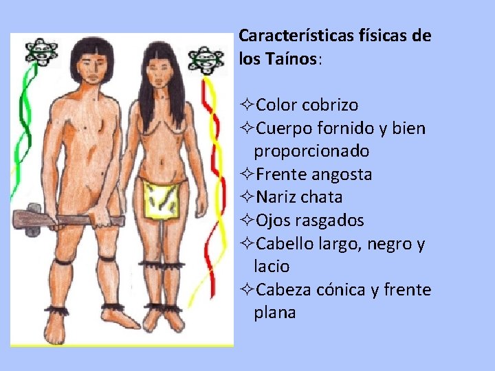 Características físicas de los Taínos: ²Color cobrizo ²Cuerpo fornido y bien proporcionado ²Frente angosta