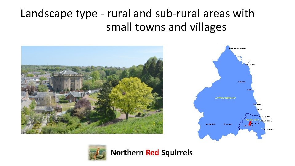 Landscape type - rural and sub-rural areas with small towns and villages Northern Red