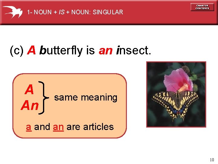 1 - NOUN + IS + NOUN: SINGULAR (c) A butterfly is an insect.