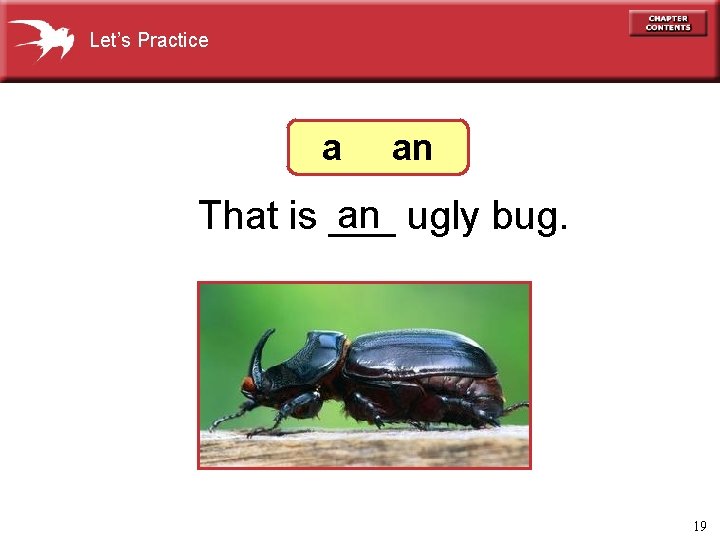 Let’s Practice a an an ugly bug. That is ___ 19 