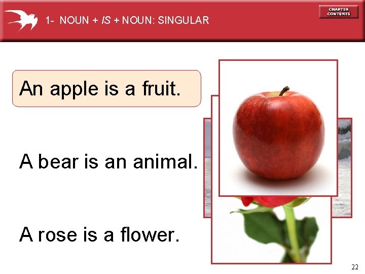 1 - NOUN + IS + NOUN: SINGULAR An apple is a fruit. A