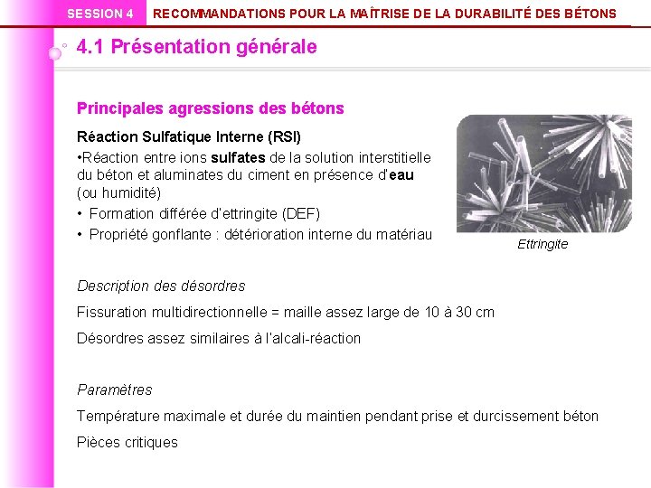SESSION 4 RECOMMANDATIONS POUR LA MAÎTRISE DE LA DURABILITÉ DES BÉTONS 4. 1 Présentation