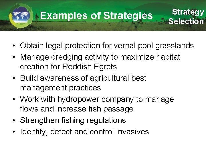 Examples of Strategies Strategy Selection • Obtain legal protection for vernal pool grasslands •