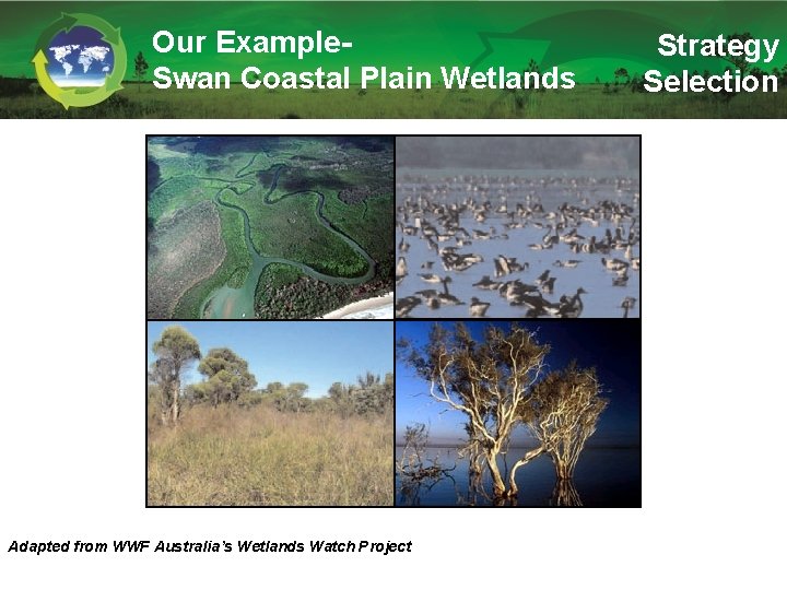Our Example. Swan Coastal Plain Wetlands Adapted from WWF Australia’s Wetlands Watch Project Strategy