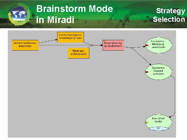 Brainstorm Mode in Miradi Strategy Selection 