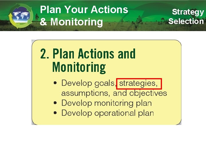 Plan Your Actions & Monitoring Strategy Selection 