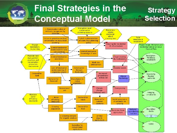 Final Strategies in the Conceptual Model Strategy Selection 
