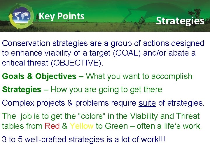 Key Points Strategies Conservation strategies are a group of actions designed to enhance viability
