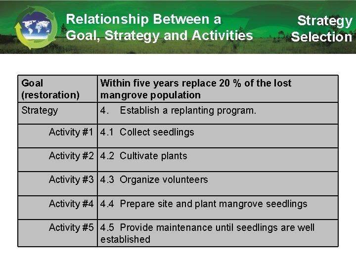 Relationship Between a Goal, Strategy and Activities Strategy Selection Goal (restoration) Within five years
