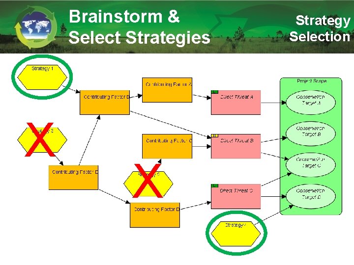 Brainstorm & Select Strategies X X Strategy Selection 