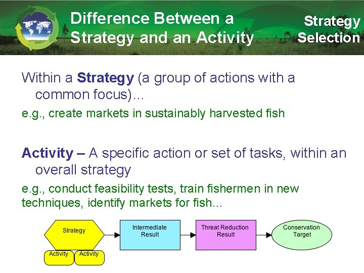 Difference Between a Strategy and an Activity Strategy Selection Within a Strategy (a group