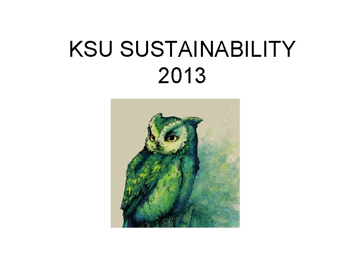 KSU SUSTAINABILITY 2013 