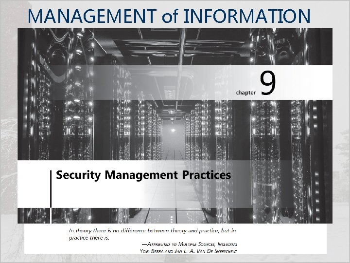 MANAGEMENT of INFORMATION SECURITY, Fifth Edition 