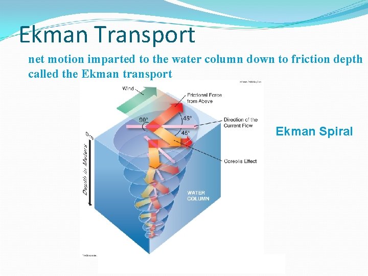 Ekman Transport net motion imparted to the water column down to friction depth called