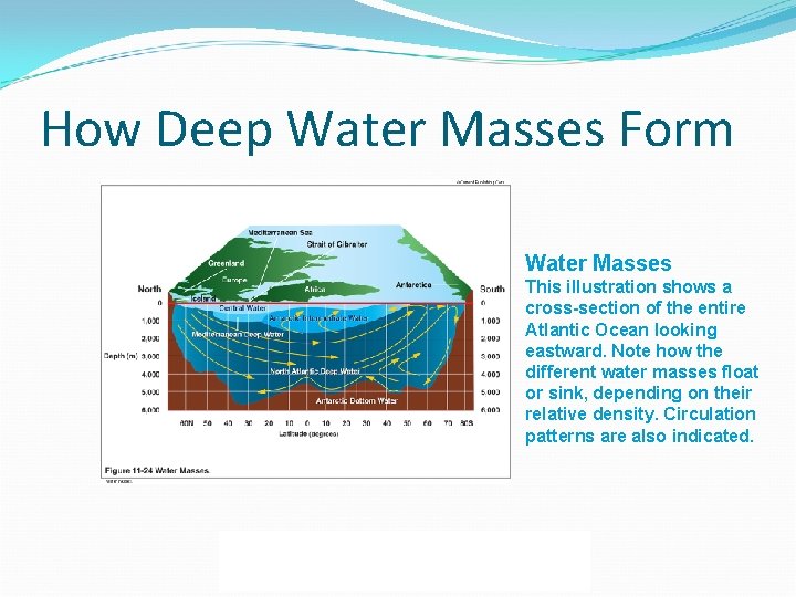 How Deep Water Masses Form Water Masses This illustration shows a cross-section of the