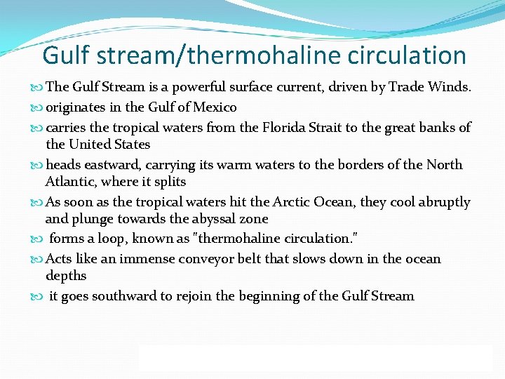 Gulf stream/thermohaline circulation The Gulf Stream is a powerful surface current, driven by Trade