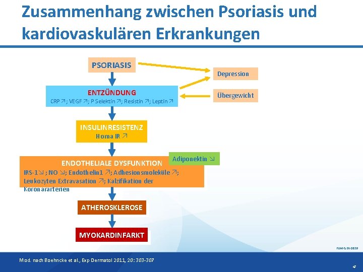 Zusammenhang zwischen Psoriasis und kardiovaskulären Erkrankungen PSORIASIS Depression ENTZÜNDUNG CRP ; VEGF ; P