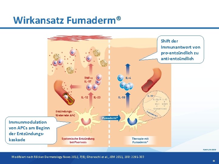 Wirkansatz Fumaderm® Shift der Immunantwort von pro-entzündlich zu anti-entzündlich Enzündungsfördernde APC Immunmodulation von APCs