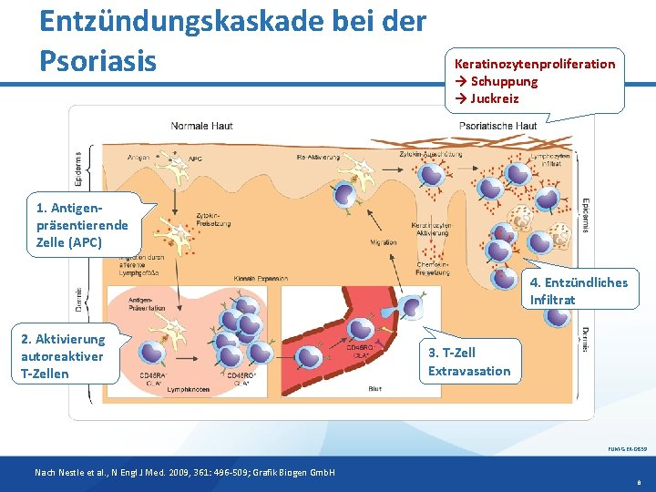 Entzündungskaskade bei der Keratinozytenproliferation Psoriasis → Schuppung → Juckreiz 1. Antigenpräsentierende Zelle (APC) 4.