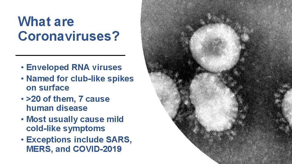 What are Coronaviruses? • Enveloped RNA viruses • Named for club-like spikes on surface What are Coronaviruses? • Enveloped RNA viruses • Named for club-like spikes on surface