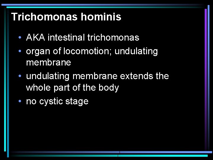 Trichomonas hominis • AKA intestinal trichomonas • organ of locomotion; undulating membrane • undulating