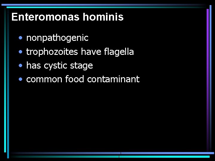 Enteromonas hominis • • nonpathogenic trophozoites have flagella has cystic stage common food contaminant